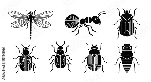 Insects including a dragonfly and various beetles are displayed.