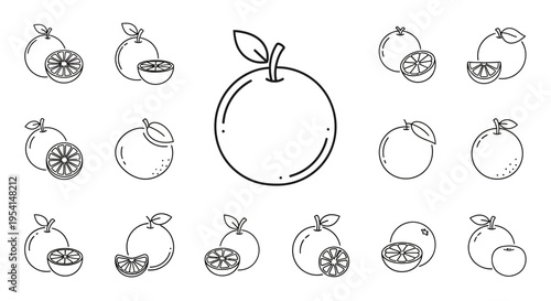 Variety of oranges and slices.