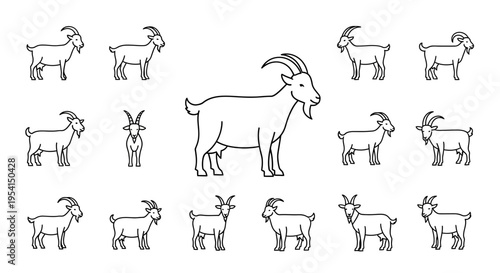 Goats standing in various positions.