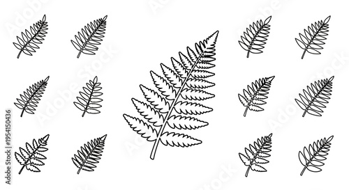 Detailed illustration of fern leaf patterns.