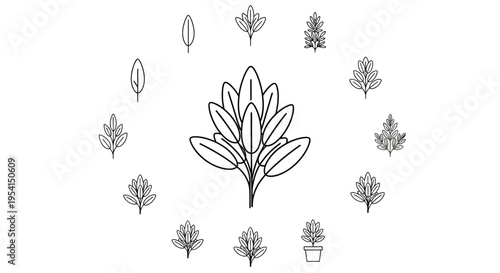 Collection of various leaf illustrations.
