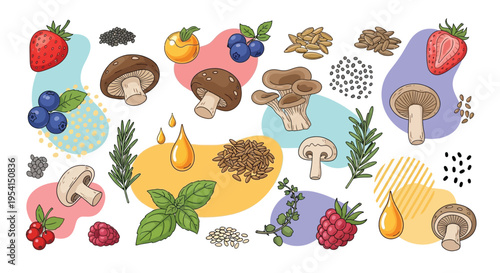 A vibrant illustration of various mushrooms, berries, and herbs arranged in a colorful pattern on a white background.