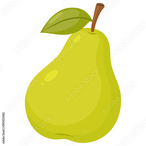 Pear fruit, green. Organic food hand drawn vector illustration. Green pear isolated on white background.