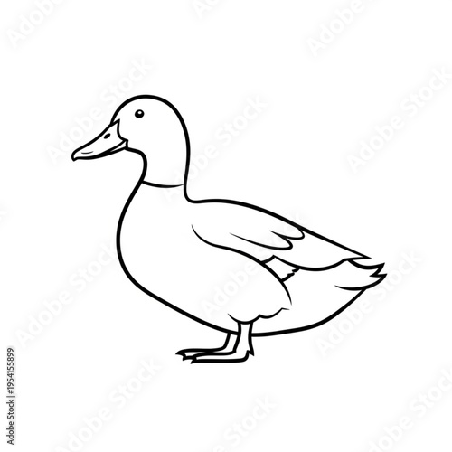 Simple Line Drawing of a Duck.