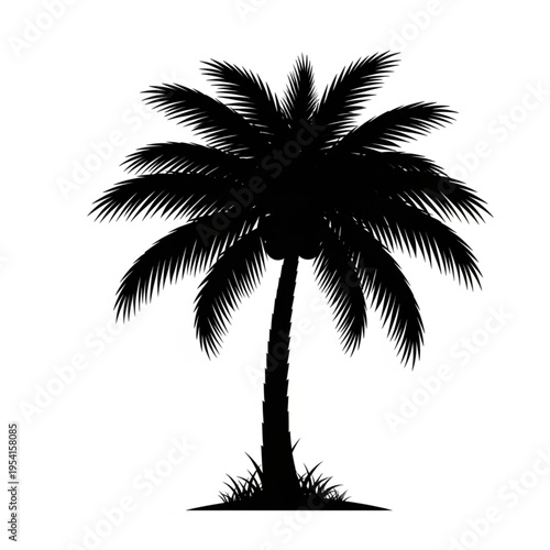 Silhouette of a Palm Tree Illustration.