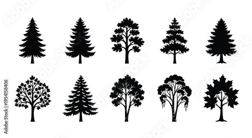 Collection of diverse tree silhouettes on white background various shapes and sizes black icons