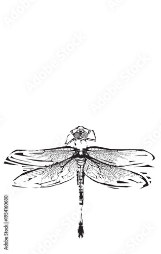 Woodcut expressionist style image of a Dragonfly