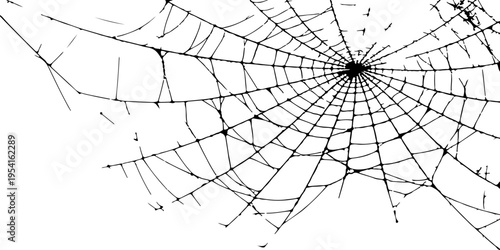 A high contrast black and white artistic illustration of a delicate spider web in the corner