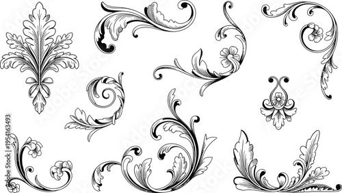 Ornate Black Scrollwork and Flourish Elements ornament