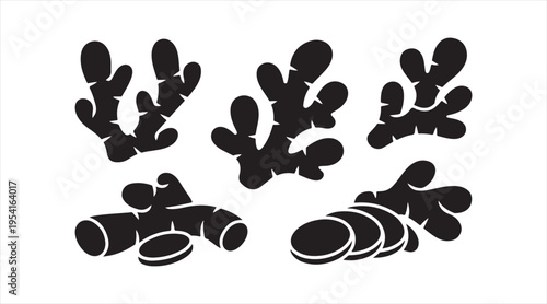 Ginger root silhouettes black vector set whole and sliced spice icons isolated on white