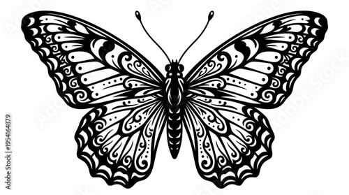 Detailed black butterfly with patterns.