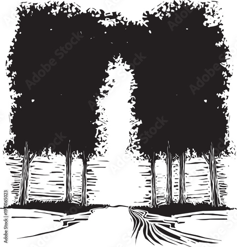 Woodcut expressionist style image of a path through a grove of trees