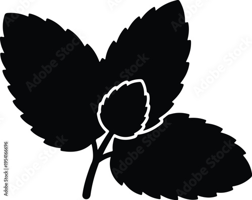 Vector silhouette of mint leaves on a stem herbal plant design