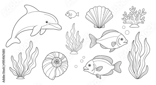Diverse marine life set featuring a playful dolphin, various fish species, seashells, and aquatic plants in line art.
