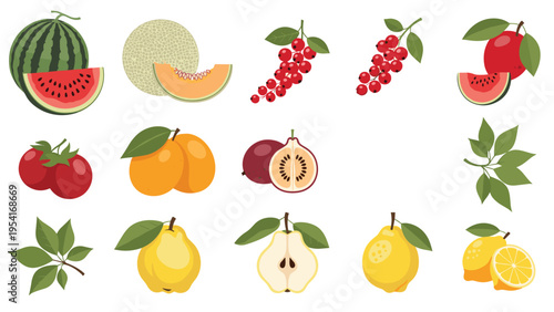 Large collection of diverse fruit illustrations including watermelon, melon, berries, orange, pear, and lemon on a white background.