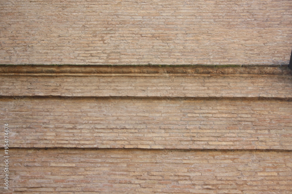 Obraz premium wood texture background