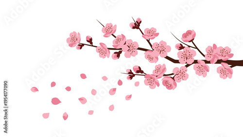 Elegant cherry blossom branch with pink flowers and delicate petals blowing in the wind against a clean white background.