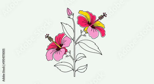 Colorful illustration of hibiscus flowers blooming.
