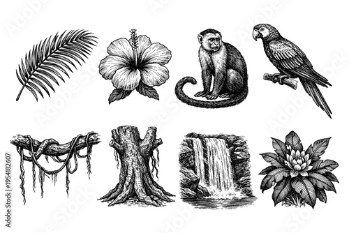 Vintage jungle elements collection with monkey, parrot, waterfall, and tropical plants