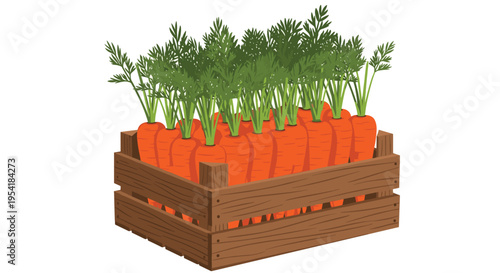 Wooden crate overflowing with freshly harvested carrots, showcasing an abundant crop of root vegetables with vibrant green tops.