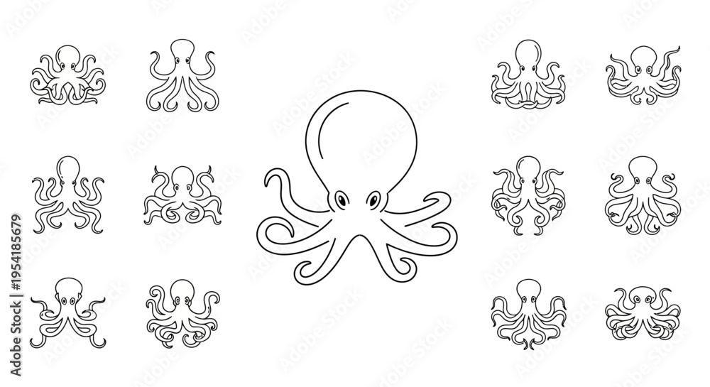 Fototapeta premium Octopus tentacles suckers cephalopod marine.