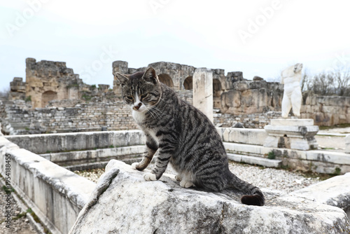 Aphrodisias was a Hellenistic Greek city in the historic Caria cultural region of western Asia Minor, today's Anatolia in Turkey.

