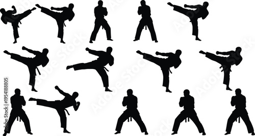 Large collection of fourteen black martial arts silhouettes featuring karate and taekwondo fighters in various kicking and fighting poses isolated on white background for sports design