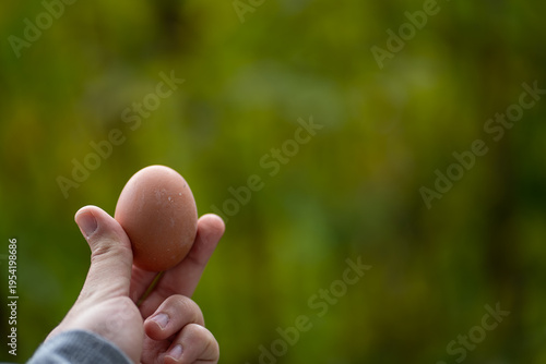 Fotografie Hand holding a boiled egg against soft green blurred background, healthy food co