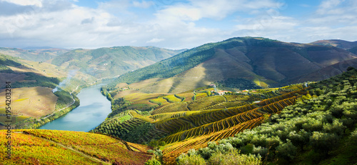 Europe, Portugal, Douro Valley. The vineyards of the Douro Valley in autumn on terraced hillsides above the Douro River.