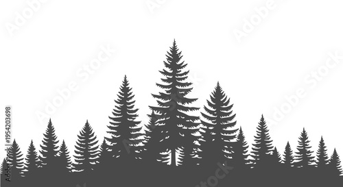 Silhouette of a dense forest with tall pine trees on a white background