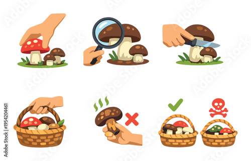 Mushroom foraging steps showing identification and harvesting guidance