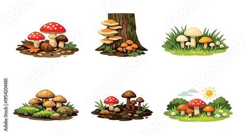 Assorted mushroom clusters with forest elements on green background
