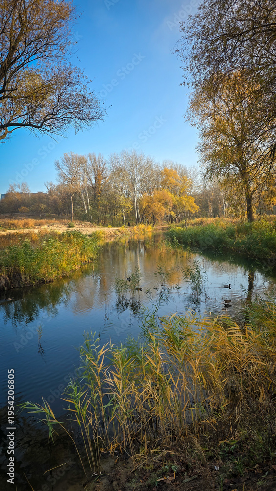 Fototapeta premium Serene Autumn River Landscape with Golden Trees and Reflections