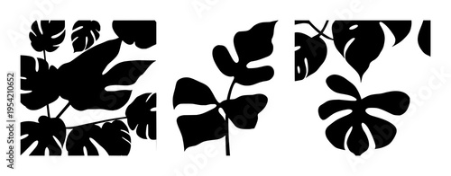 Monstera leaf silhouette set with elegant black line design featuring botanical, horticulture, plant art with plants and greens