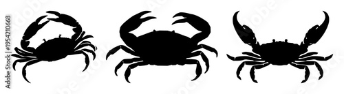 Crab claw silhouette set with stylized geometric shapes featuring crab, crustacean, marine life with black line art and graphic resources