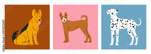 Set of posters with cute dogs. Dalmatian dog, German Shepherd dog and Basenji dog. For pet-related marketing materials, content about breeds, prints, cards etc. Colorful vector illustrations.