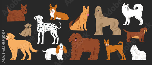 Vector illustrations set with dogs standing. Dalmatian, Basenji, Shepherd dogs, Golden Retriever, Corgi, Bichon etc. For pet-related marketing materials, content about breeds, prints, cards.