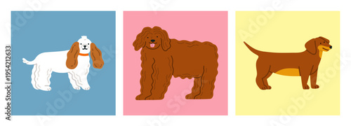 Set of posters with cute dogs. King Charles Spaniel dog, Bergamasco Shepherd dog and Dachshund dog. For pet-related marketing materials, content about breeds, prints, cards etc. Vector illustrations.