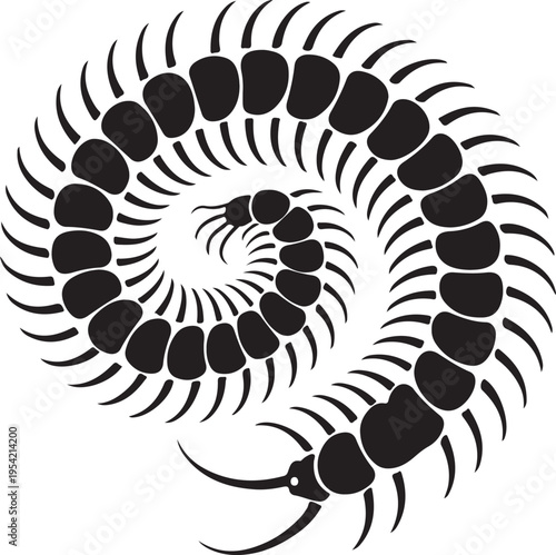 Minimalist Black Centipede Spiral Graphic Illustration Design Element