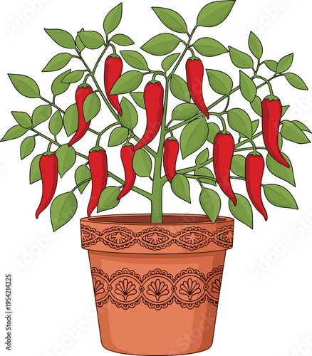 Illustration of potted chili pepper plant with vibrant red peppers, green leaves, decorative terracotta pot featuring ornate pattern, symbolizing homegrown vegetables and spicy cooking ingredients