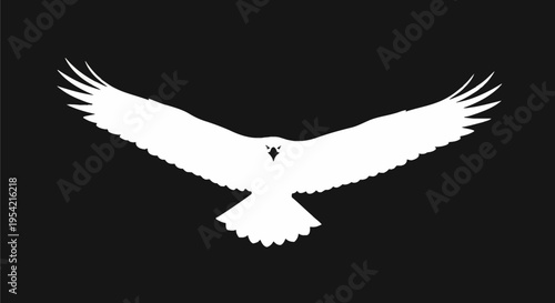 White Eagle Silhouette with Wide Wingspan Flying Forward Isolated on Black Background, Front View of Large Bird of Prey Illustration, Minimalist Graphic Design Vector Art.