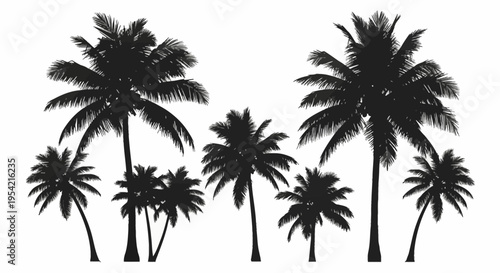 Collection of black palm tree silhouettes of various heights and species, including coconut and date palms, featuring detailed fronds and trunks isolated on a solid white background.