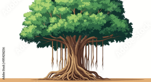 Detailed vector illustration of a banyan tree with dense green leaf canopy, multiple vertical aerial roots hanging from branches, and large root system on a white background.