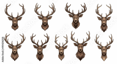 Collection of nine vintage deer head illustrations with large antlers. Frontal view of stags and bucks in a woodcut vector style on a white background for hunting emblems or logos.