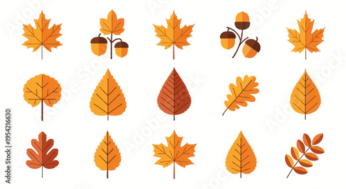 Set of fifteen autumn leaf and acorn icons featuring maple, oak, and birch foliage in orange and brown flat vector style isolated on white background for seasonal botanical design.