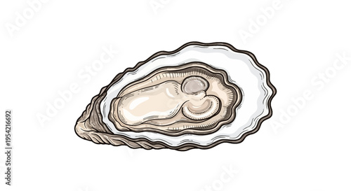 Detailed vector illustration of an open raw oyster shell showing the meat inside, isolated on white background. Hand-drawn style with fine black outlines and layered shading for texture.