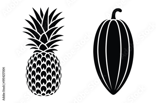 Pineapple and cocoa pod icons vector illustration