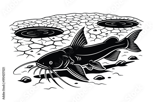 Catfish in cracked dry mud vector illustration with bottom feeder