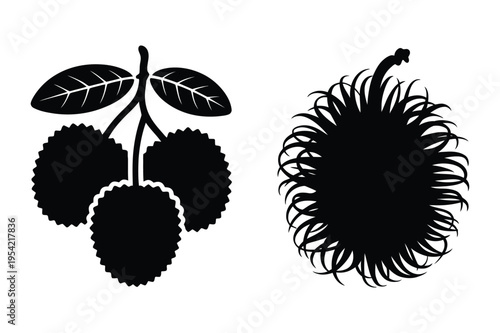 Lychee and rambutan fruit silhouette icons