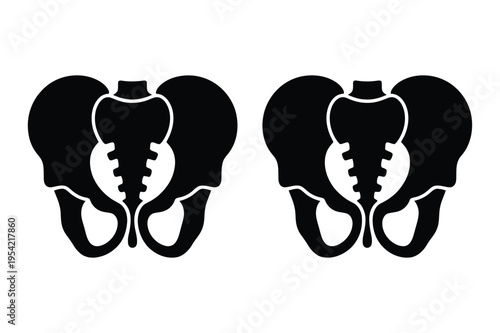 Pelvis bone silhouette icons